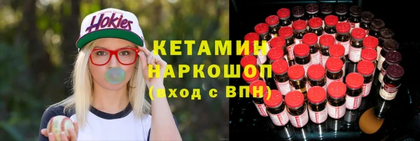 бошки Няндома