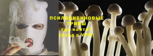 бошки Няндома