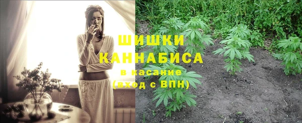 бошки Няндома