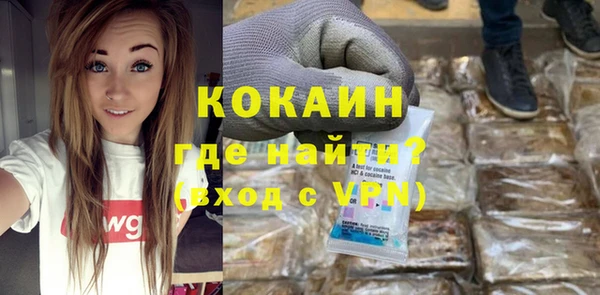 бошки Няндома