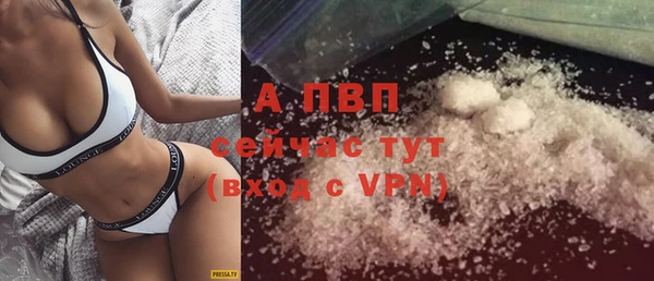 бошки Няндома