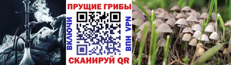 Галлюциногенные грибы Magic Shrooms Себеж