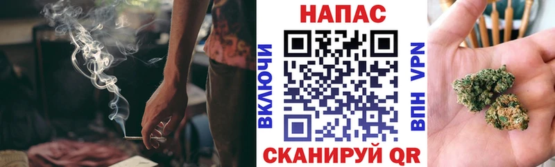 Бошки марихуана сатива  Себеж 